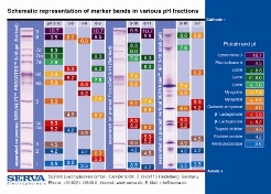 Protein Test Mixture for pI-Determination, pH 3-10